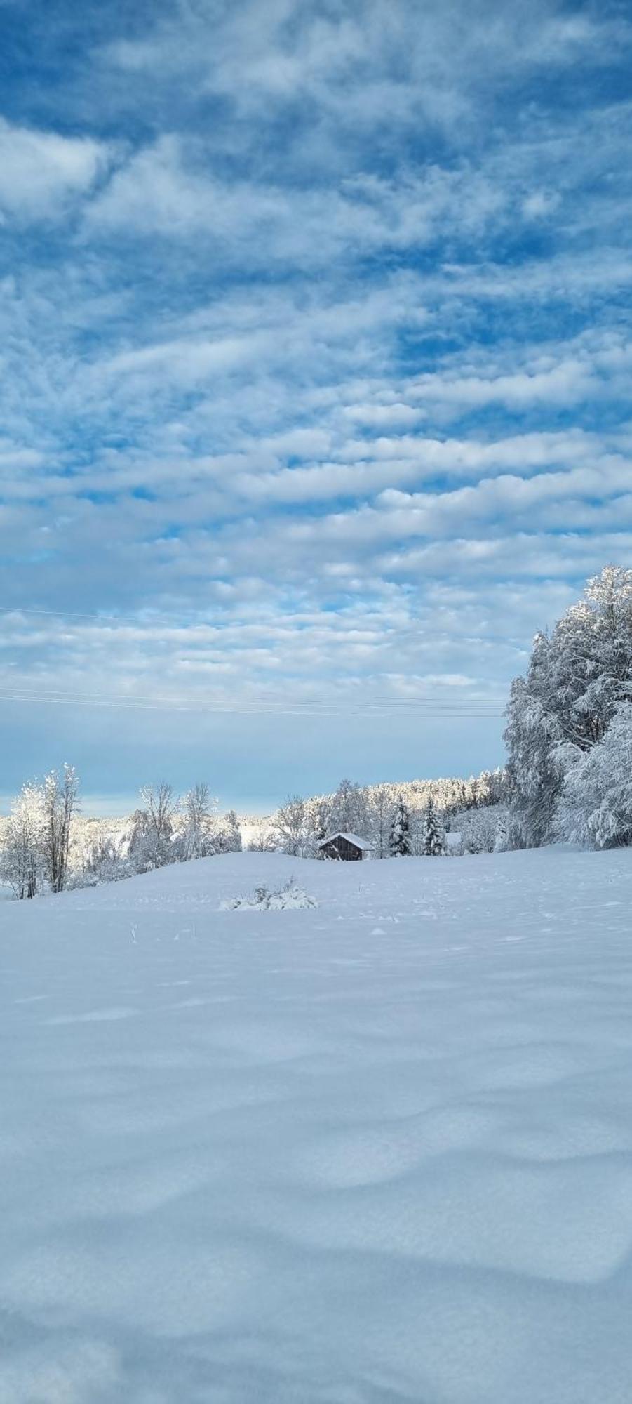 Boutique Hotel Angerer Murnau am Staffelsee Dış mekan fotoğraf