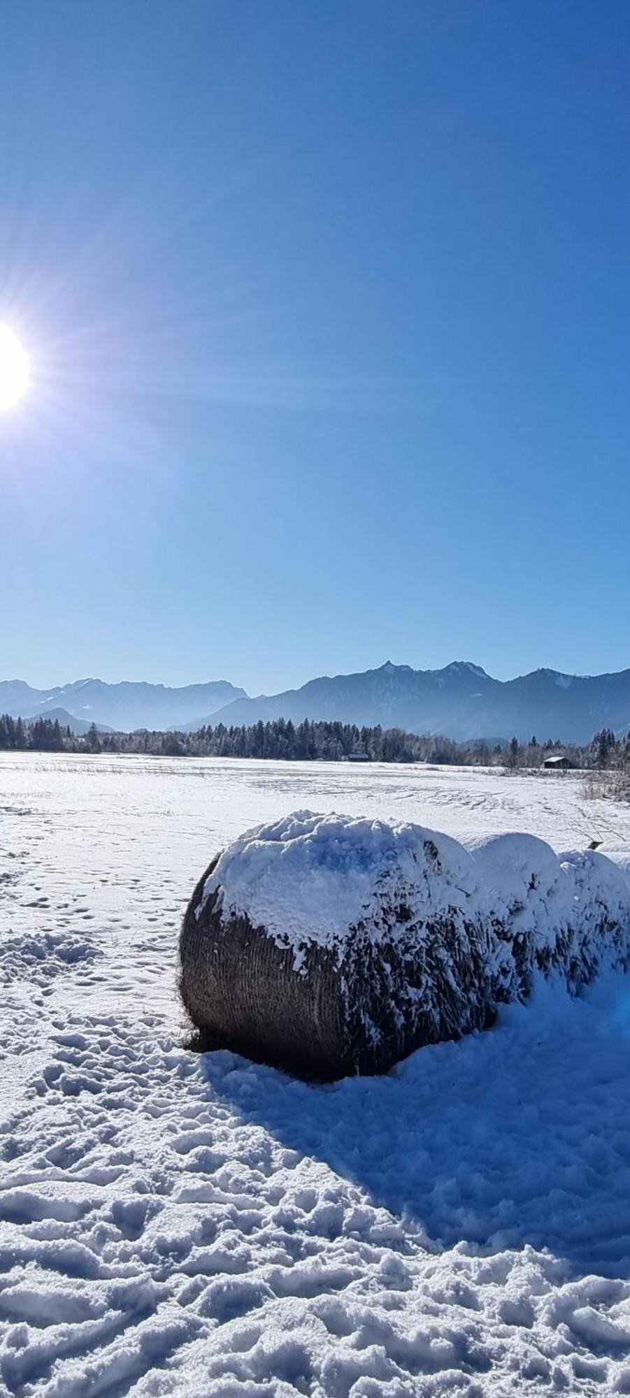 Boutique Hotel Angerer Murnau am Staffelsee Dış mekan fotoğraf