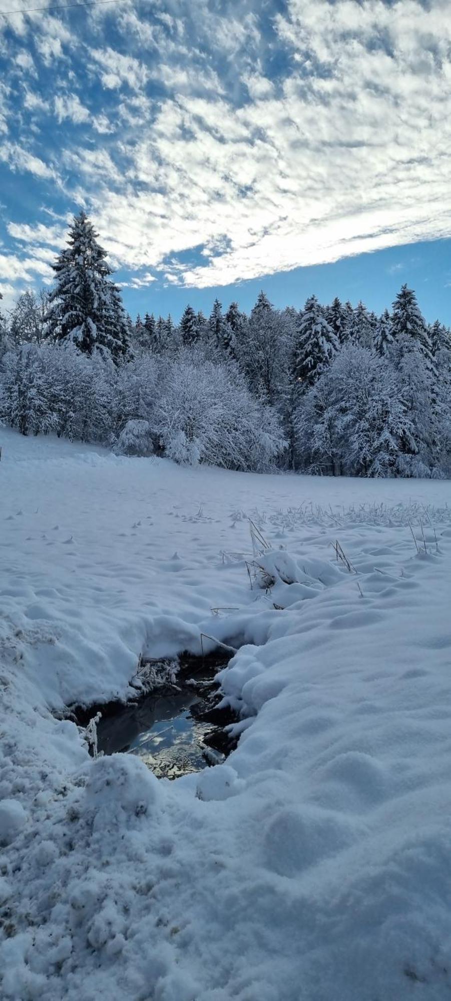 Boutique Hotel Angerer Murnau am Staffelsee Dış mekan fotoğraf