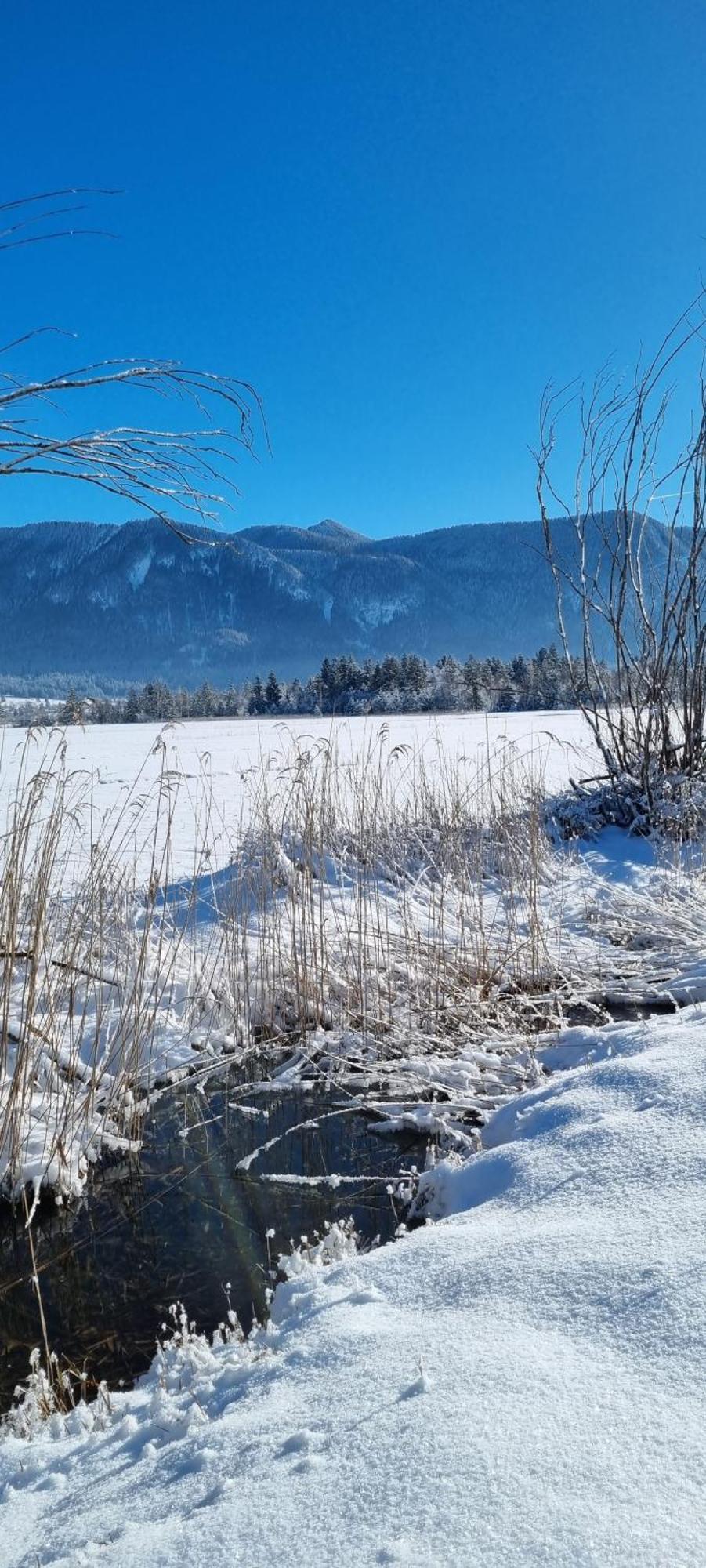 Boutique Hotel Angerer Murnau am Staffelsee Dış mekan fotoğraf