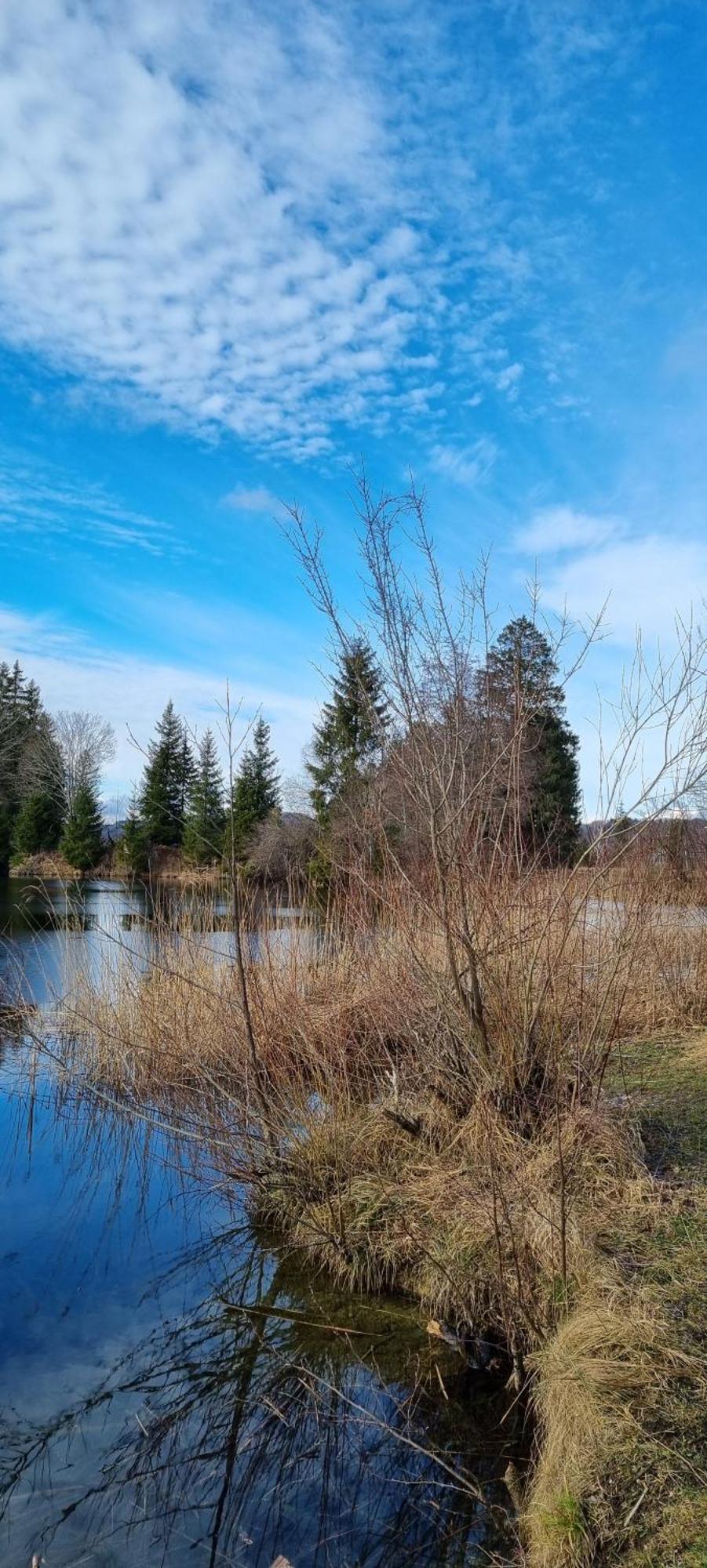 Boutique Hotel Angerer Murnau am Staffelsee Dış mekan fotoğraf